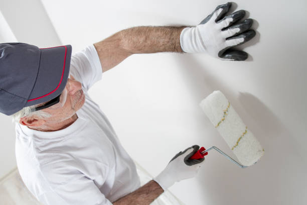 Best Mold Prevention Services  in USA